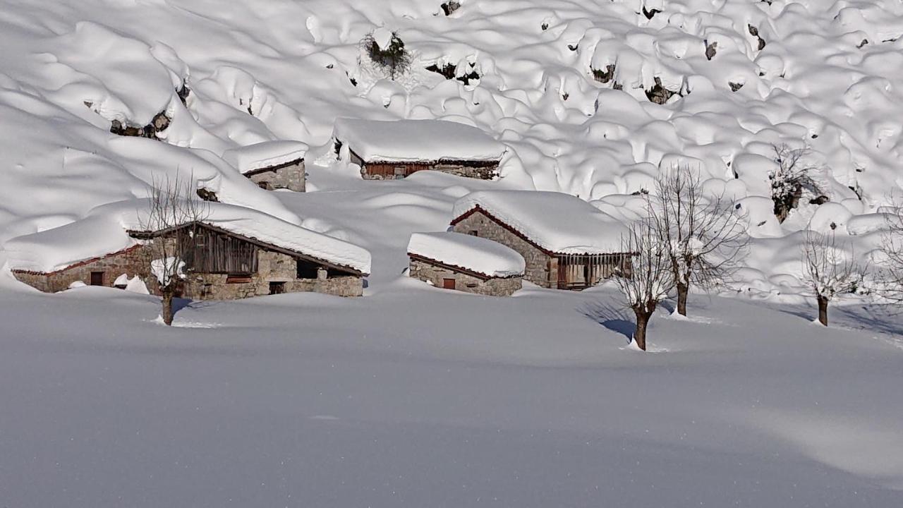 Casa Rural Las Fraguas Llanes, Gulpiyuri, Bufones Eksteriør billede